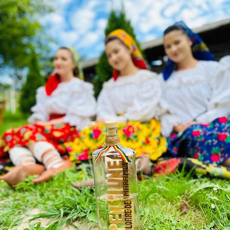 Floare De Maramures 1 Vadu Izei Bagian luar foto