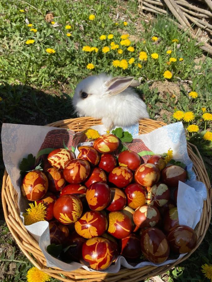 Floare De Maramures 1 Vadu Izei Bagian luar foto