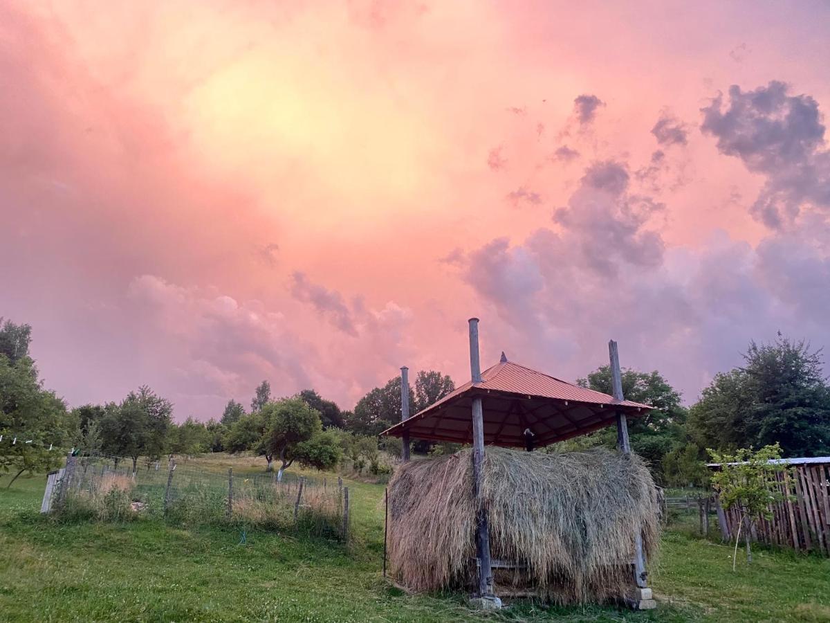 Floare De Maramures 1 Vadu Izei Bagian luar foto