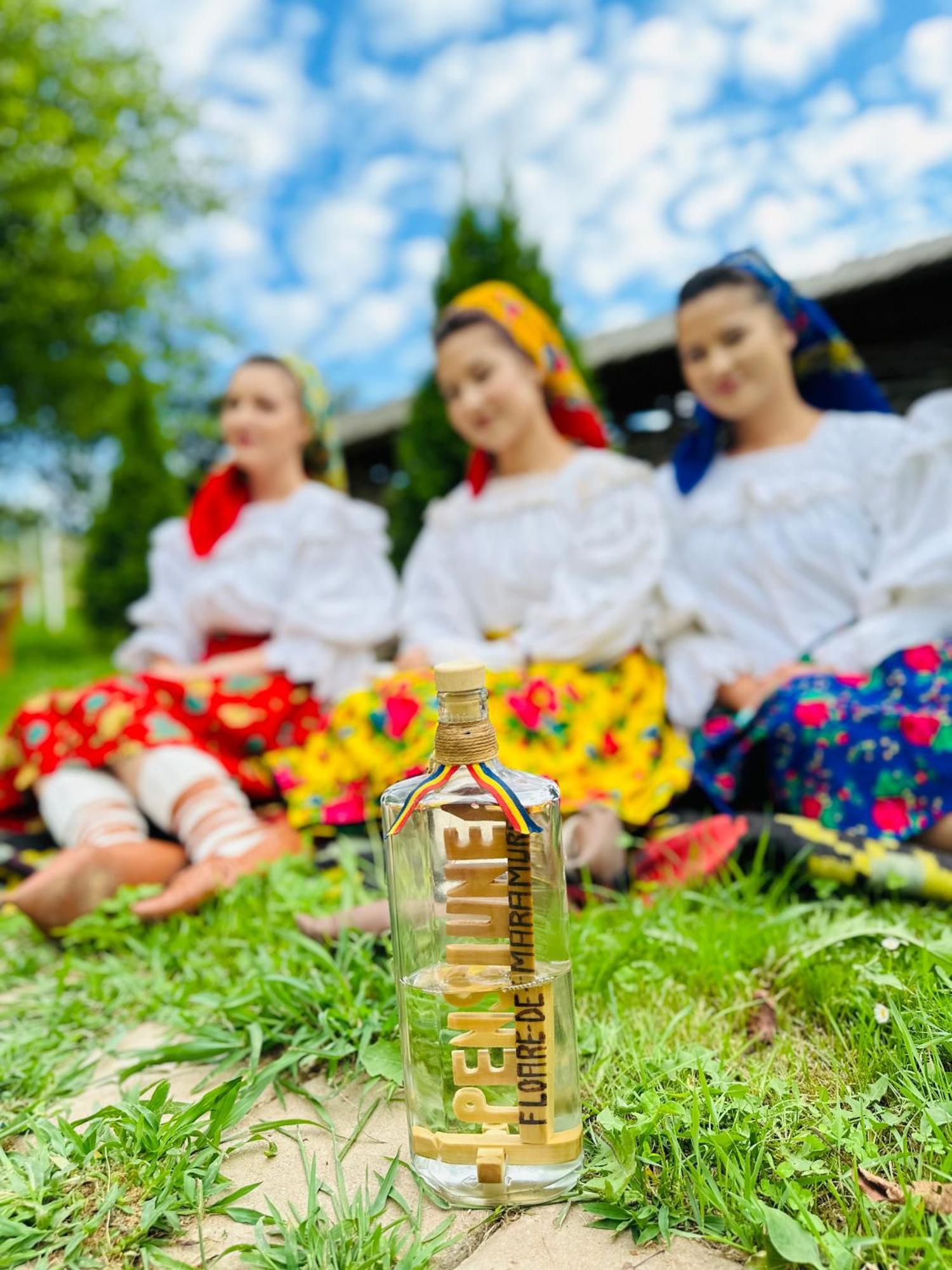 Floare De Maramures 1 Vadu Izei Bagian luar foto