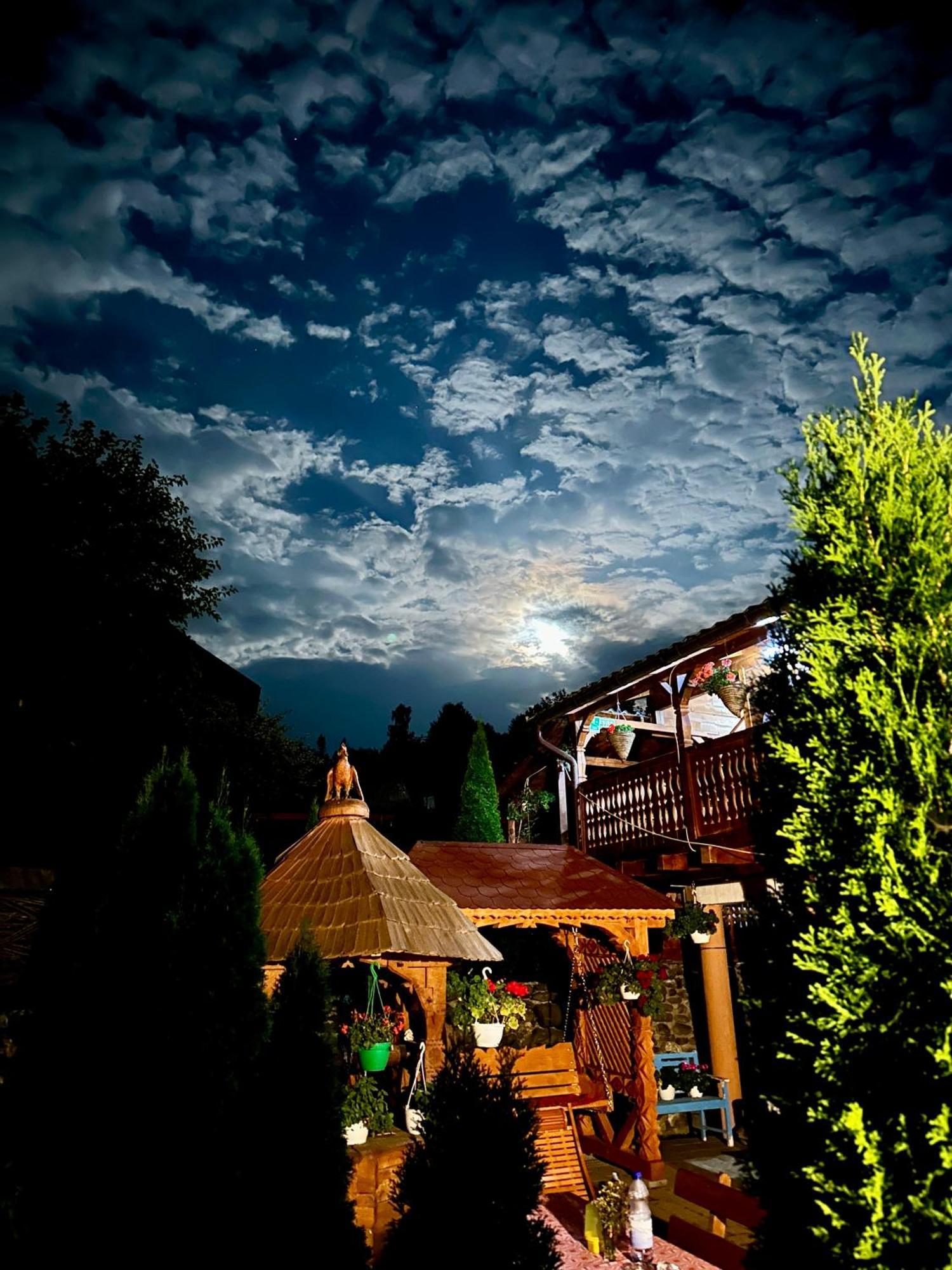 Floare De Maramures 1 Vadu Izei Bagian luar foto